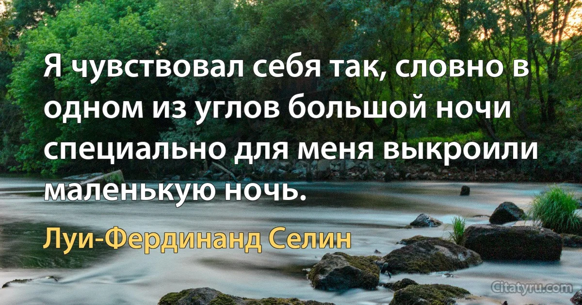 Я чувствовал себя так, словно в одном из углов большой ночи специально для меня выкроили маленькую ночь. (Луи-Фердинанд Селин)