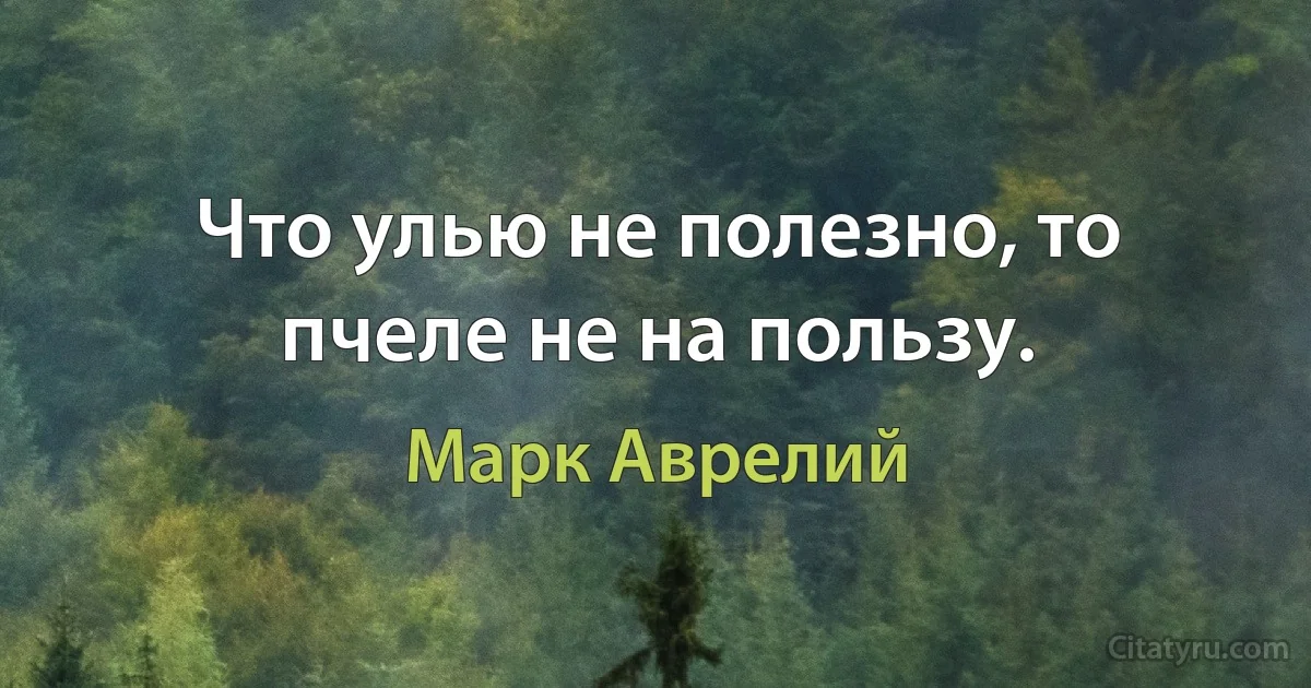 Что улью не полезно, то пчеле не на пользу. (Марк Аврелий)