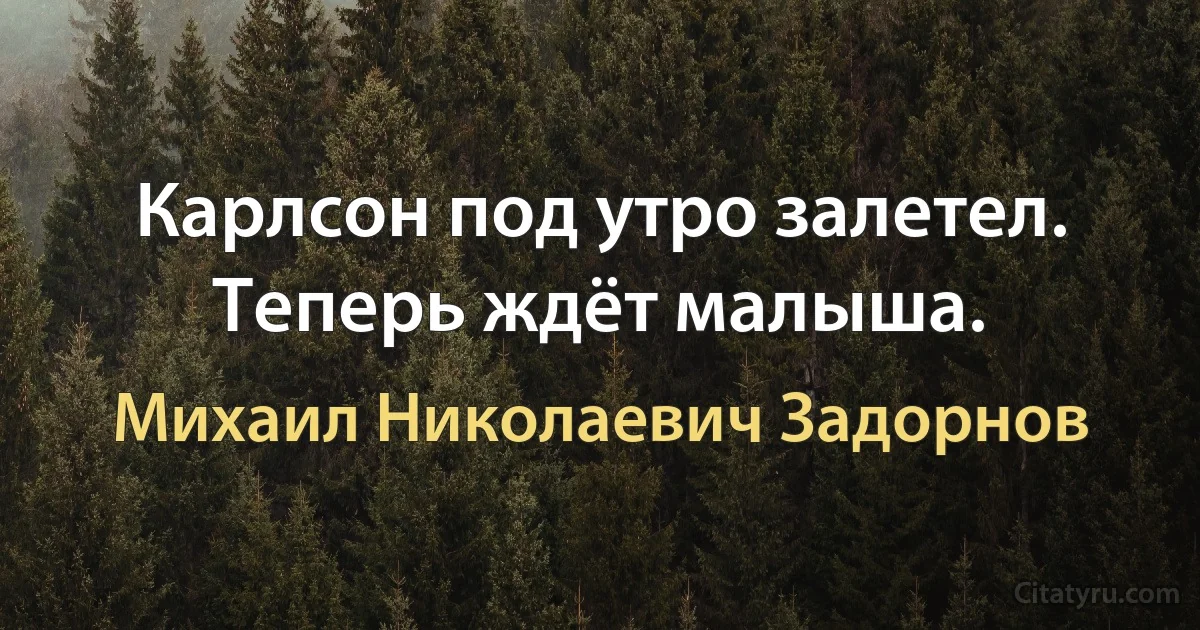 Карлсон под утро залетел. Теперь ждёт малыша. (Михаил Николаевич Задорнов)