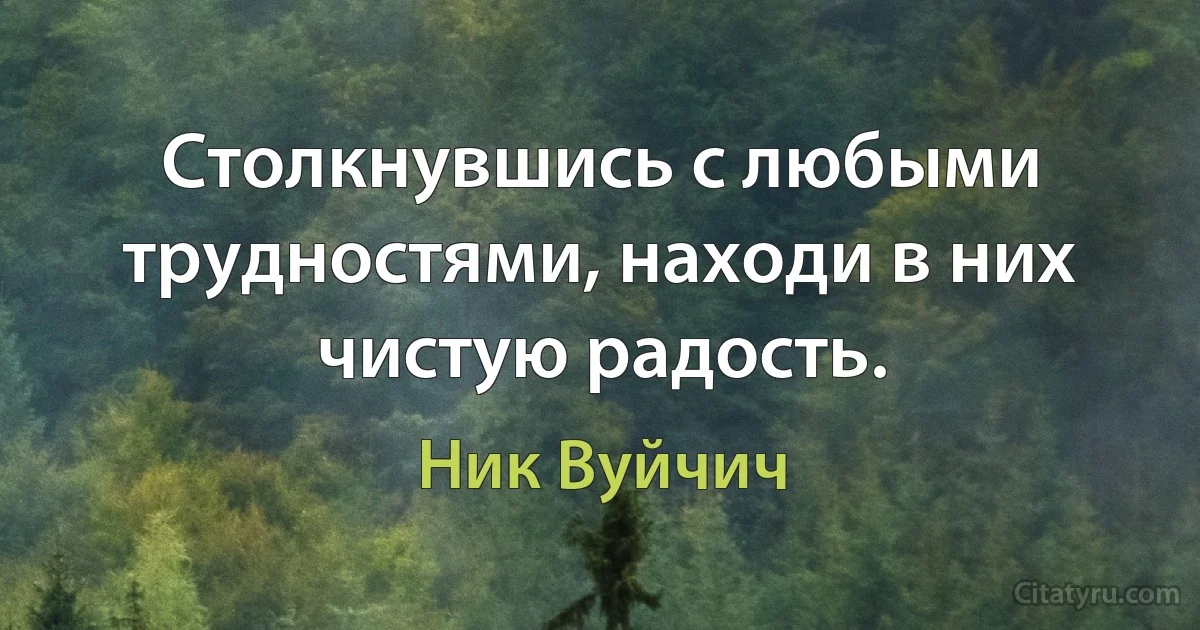 Столкнувшись с любыми трудностями, находи в них чистую радость. (Ник Вуйчич)