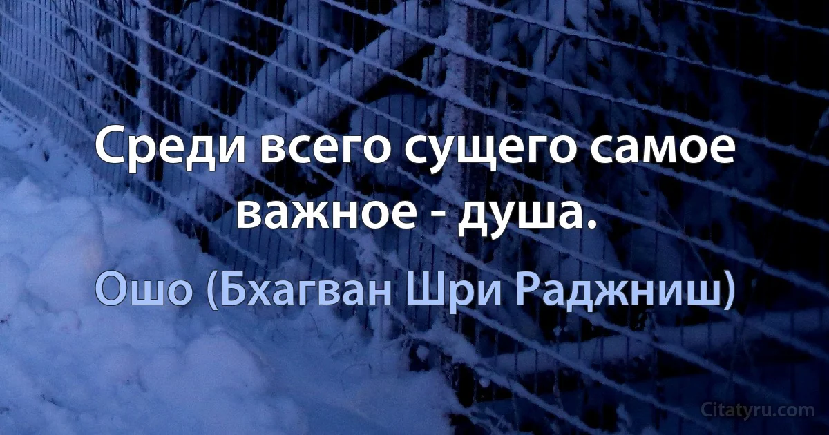 Среди всего сущего самое важное - душа. (Ошо (Бхагван Шри Раджниш))