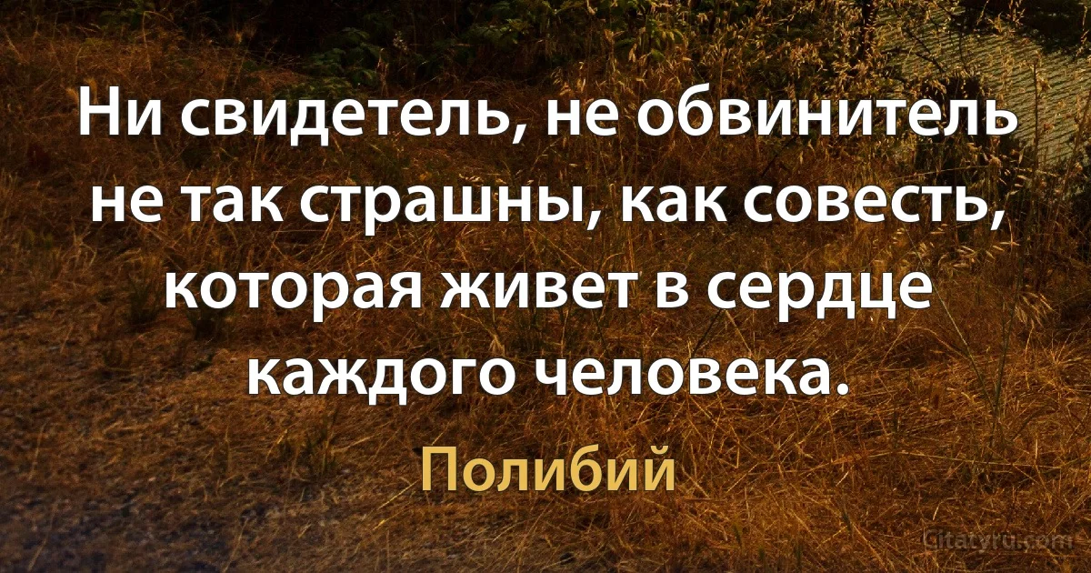 Ни свидетель, не обвинитель не так страшны, как совесть, которая живет в сердце каждого человека. (Полибий)