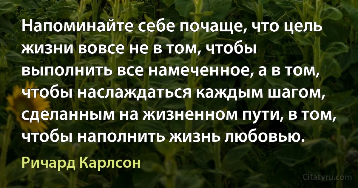 Напоминайте себе почаще, что цель жизни вовсе не в том, чтобы выполнить все намеченное, а в том, чтобы наслаждаться каждым шагом, сделанным на жизненном пути, в том, чтобы наполнить жизнь любовью. (Ричард Карлсон)