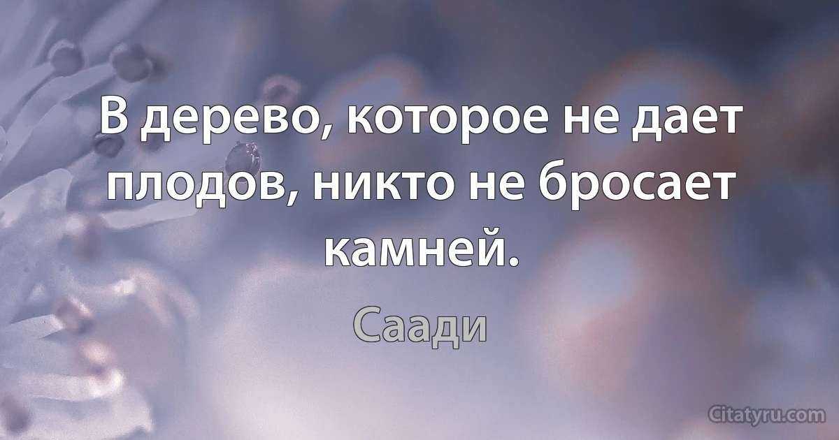 В дерево, которое не дает плодов, никто не бросает камней. (Саади)