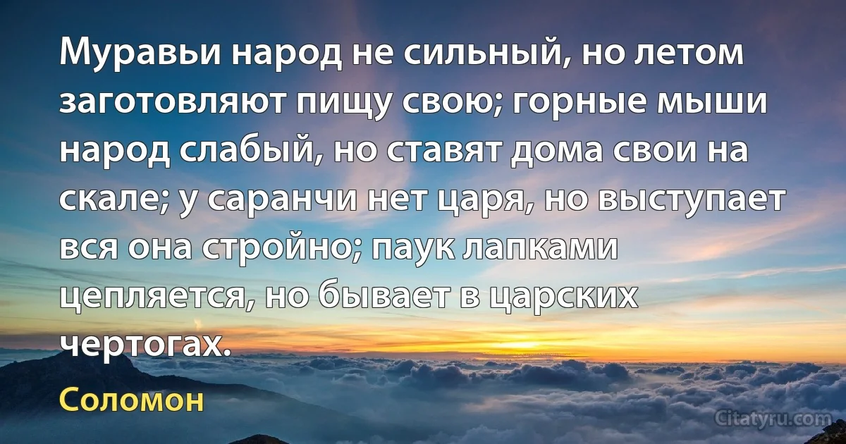 Муравьи народ не сильный, но летом заготовляют пищу свою; горные мыши народ слабый, но ставят дома свои на скале; у саранчи нет царя, но выступает вся она стройно; паук лапками цепляется, но бывает в царских чертогах. (Соломон)