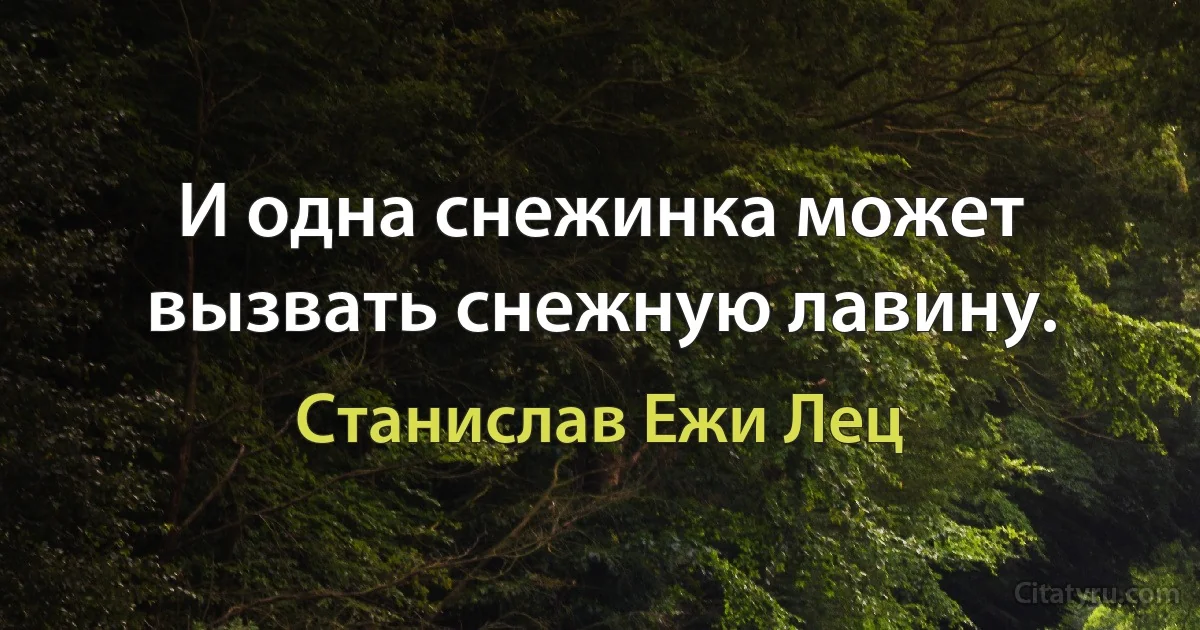 И одна снежинка может вызвать снежную лавину. (Станислав Ежи Лец)