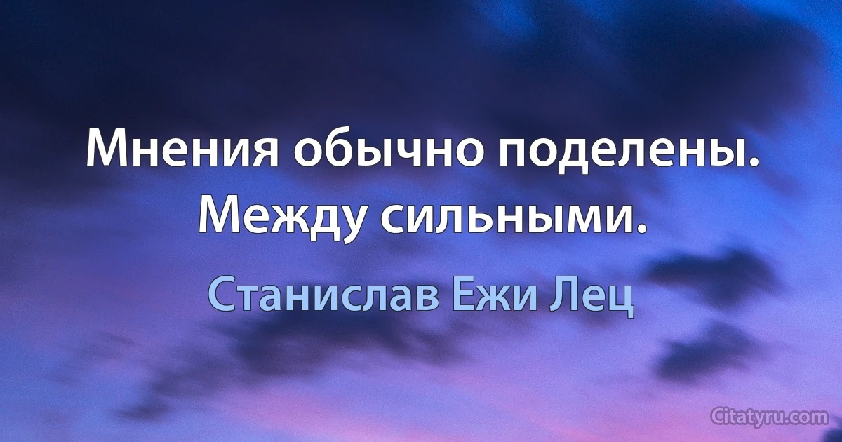 Мнения обычно поделены. Между сильными. (Станислав Ежи Лец)