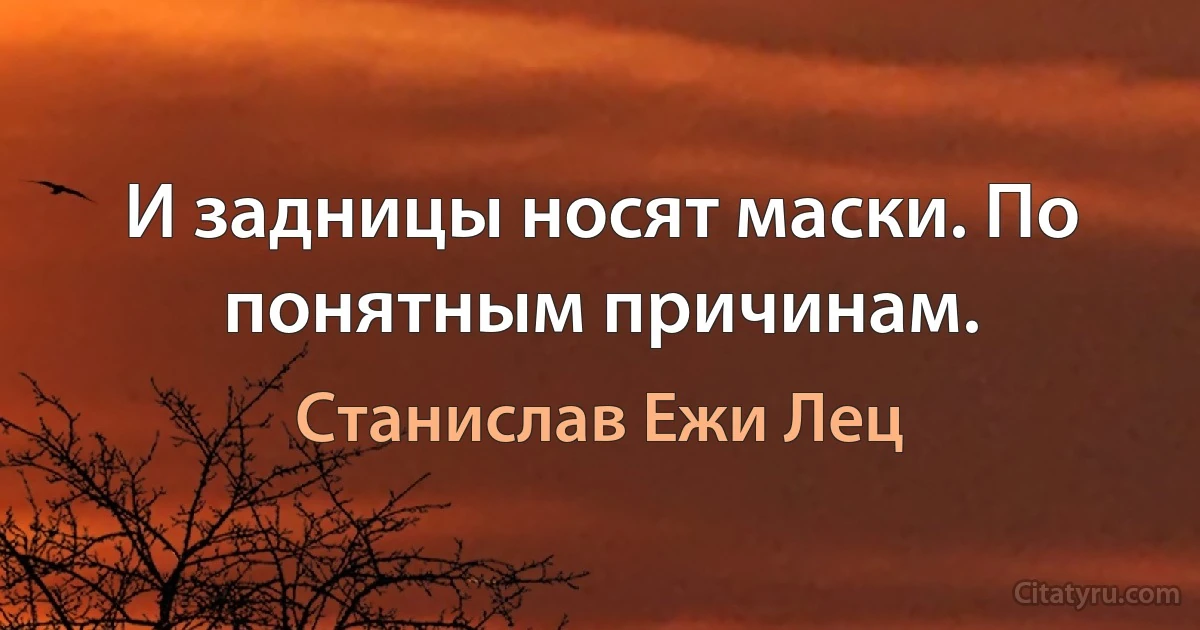 И задницы носят маски. По понятным причинам. (Станислав Ежи Лец)