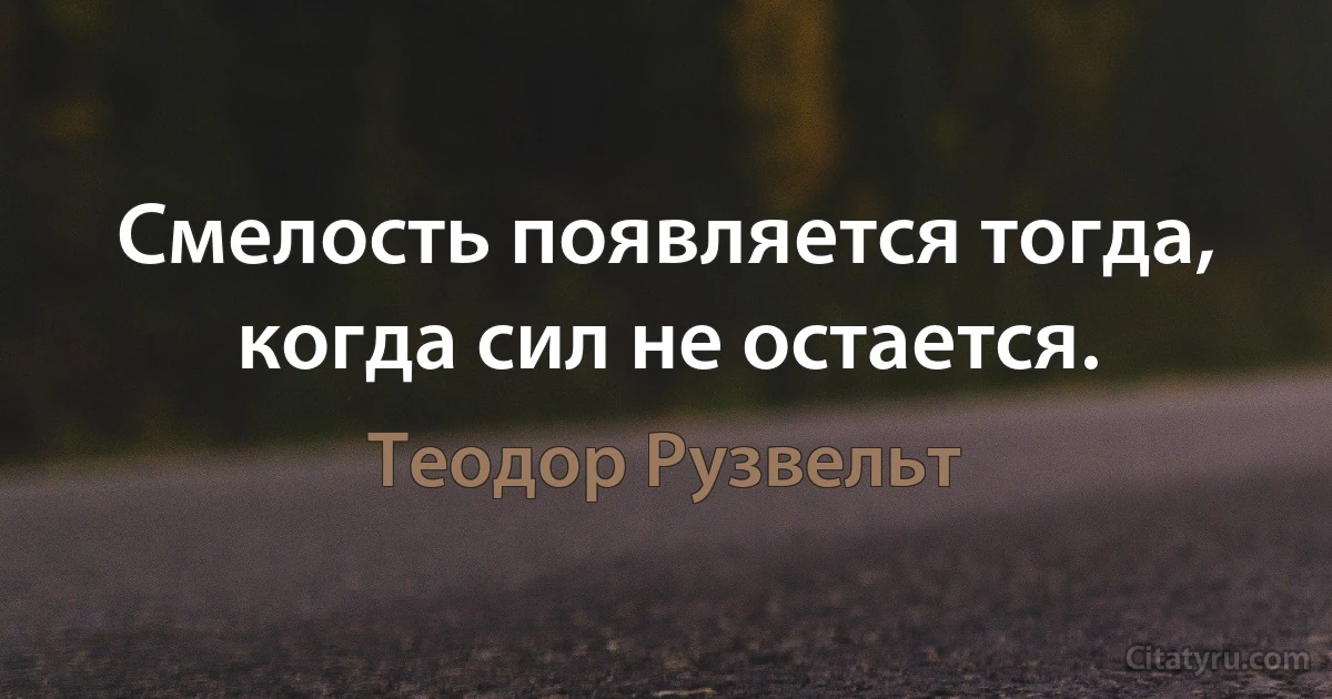 Смелость появляется тогда, когда сил не остается. (Теодор Рузвельт)