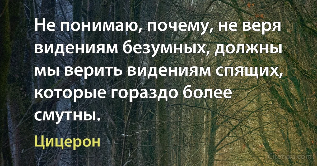 Не понимаю, почему, не веря видениям безумных, должны мы верить видениям спящих, которые гораздо более смутны. (Цицерон)