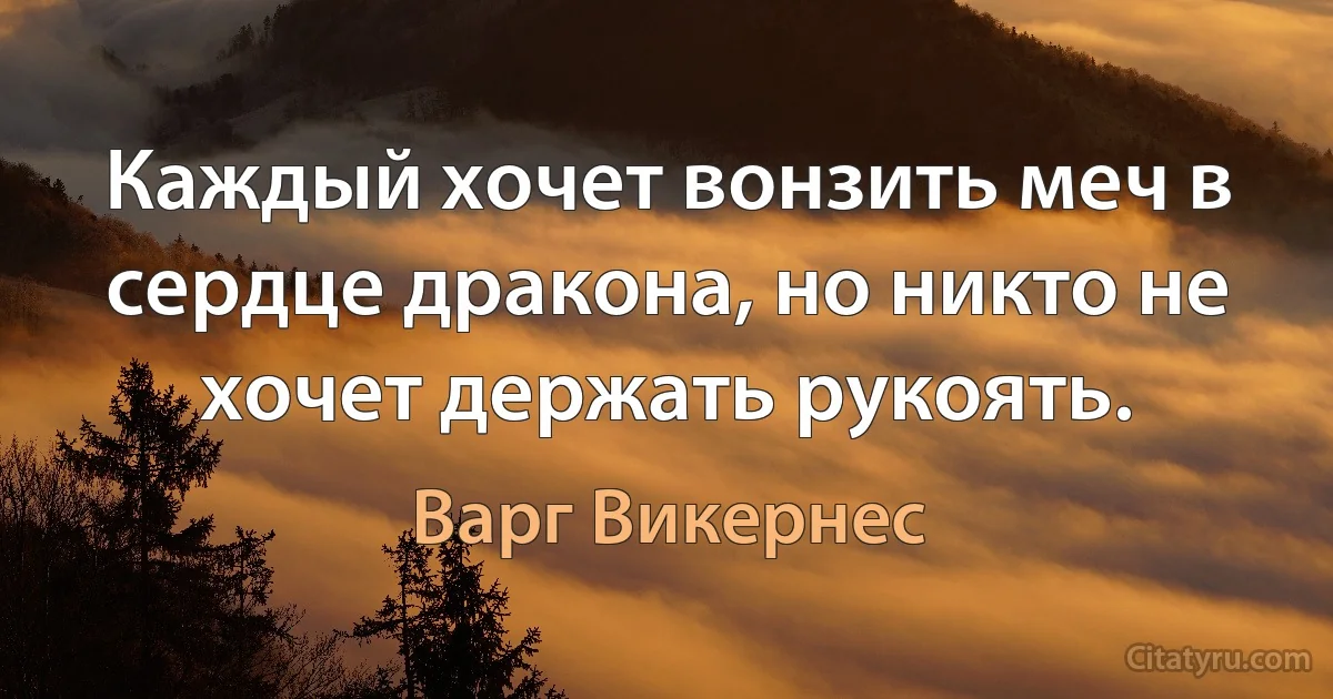 Каждый хочет вонзить меч в сердце дракона, но никто не хочет держать рукоять. (Варг Викернес)