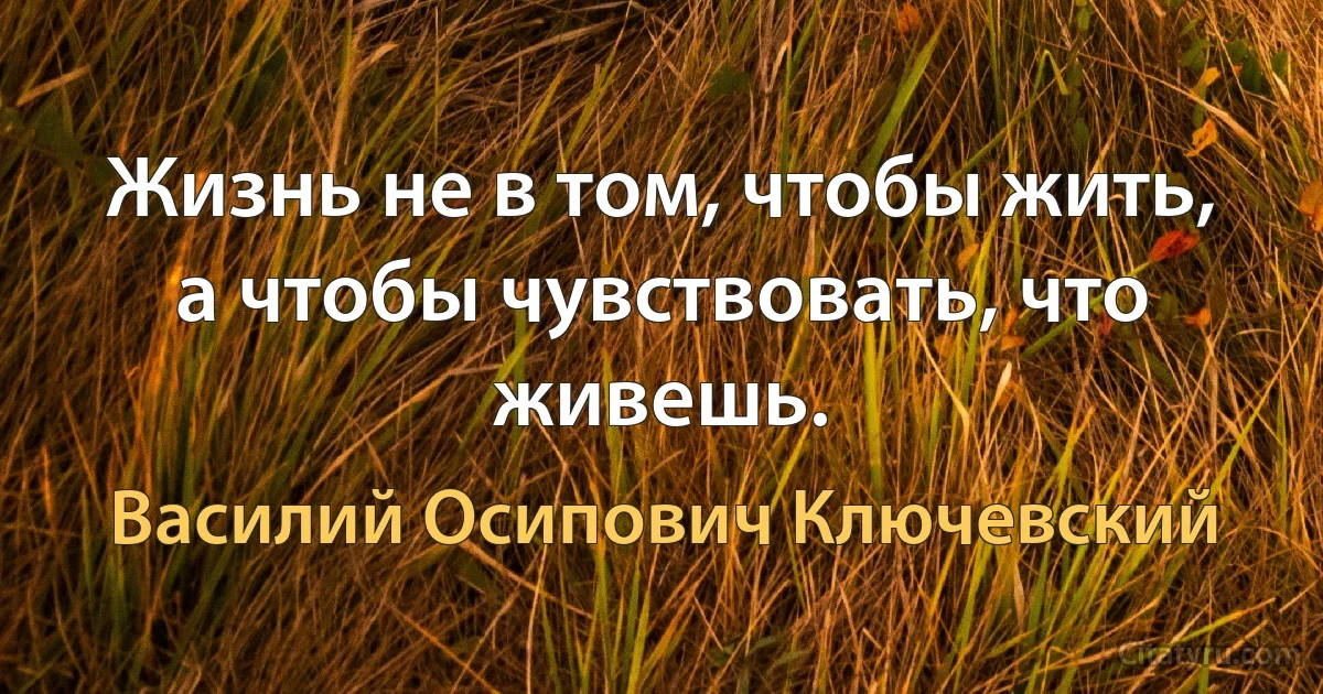 Жизнь не в том, чтобы жить, а чтобы чувствовать, что живешь. (Василий Осипович Ключевский)