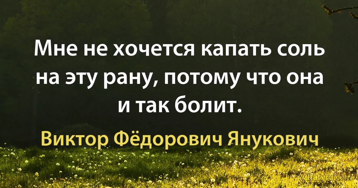 Мне не хочется капать соль на эту рану, потому что она и так болит. (Виктор Фёдорович Янукович)