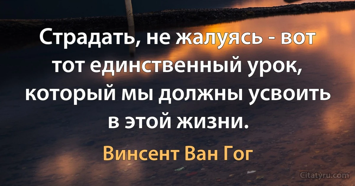 Страдать, не жалуясь - вот тот единственный урок, который мы должны усвоить в этой жизни. (Винсент Ван Гог)