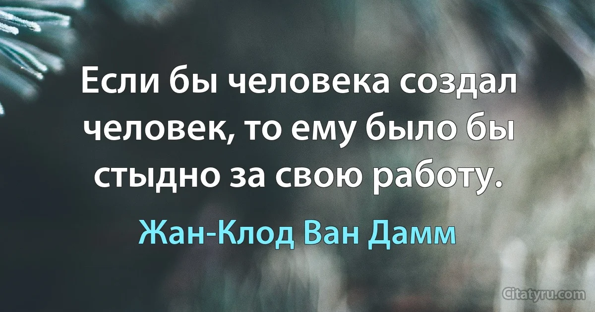 Если бы человека создал человек, то ему было бы стыдно за свою работу. (Жан-Клод Ван Дамм)