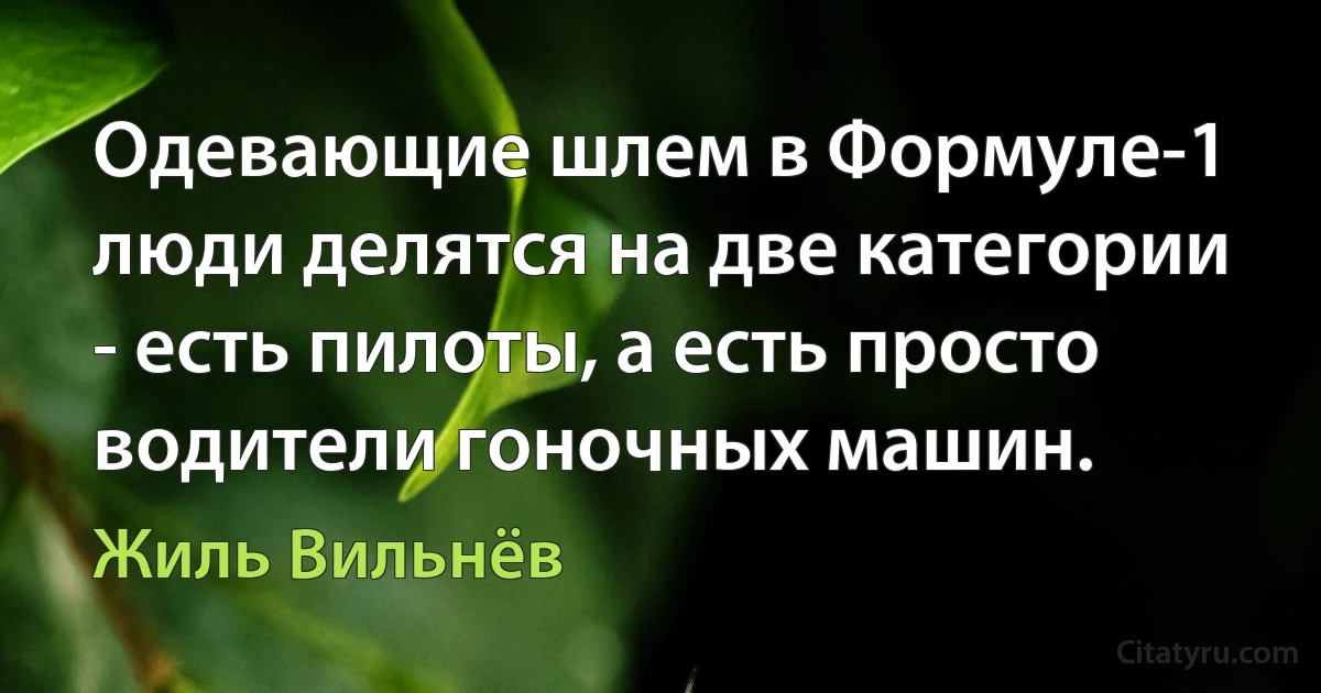 Одевающие шлем в Формуле-1 люди делятся на две категории - есть пилоты, а есть просто водители гоночных машин. (Жиль Вильнёв)