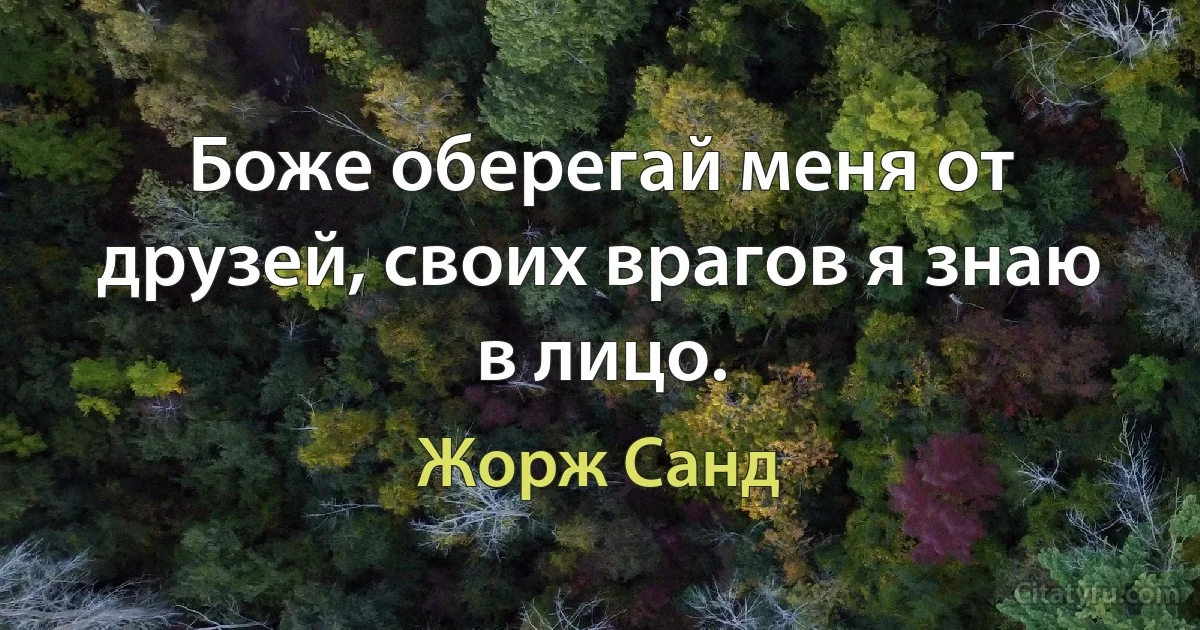 Боже оберегай меня от друзей, своих врагов я знаю в лицо. (Жорж Санд)