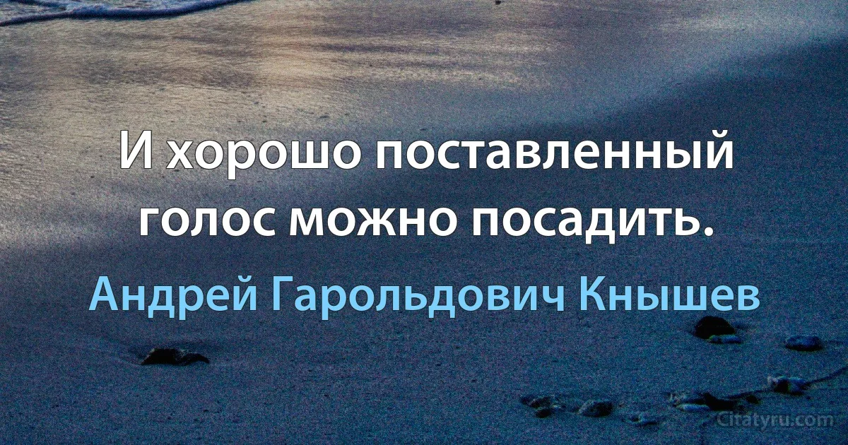 И хорошо поставленный голос можно посадить. (Андрей Гарольдович Кнышев)