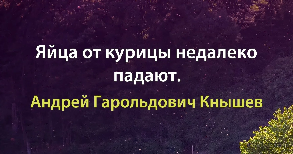 Яйца от курицы недалеко падают. (Андрей Гарольдович Кнышев)