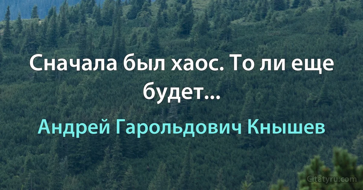 Сначала был хаос. То ли еще будет... (Андрей Гарольдович Кнышев)