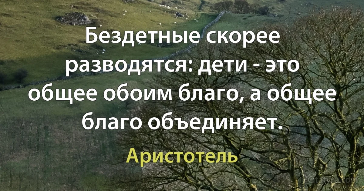 Бездетные скорее разводятся: дети - это общее обоим благо, а общее благо объединяет. (Аристотель)