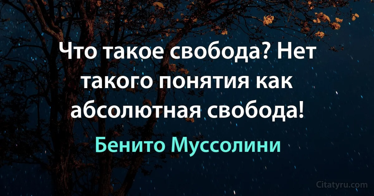 Что такое свобода? Нет такого понятия как абсолютная свобода! (Бенито Муссолини)