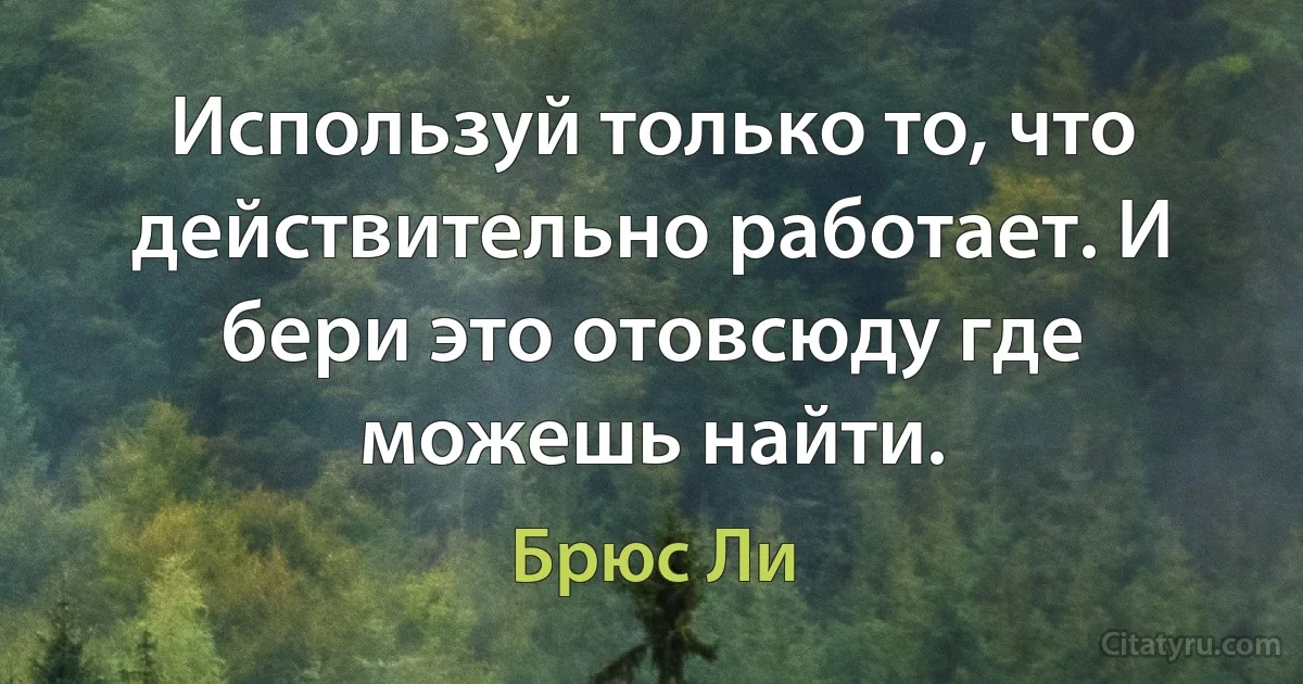 Используй только то, что действительно работает. И бери это отовсюду где можешь найти. (Брюс Ли)