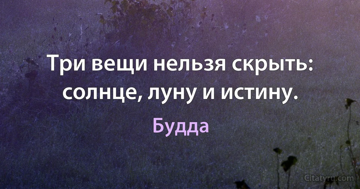 Три вещи нельзя скрыть: солнце, луну и истину. (Будда)