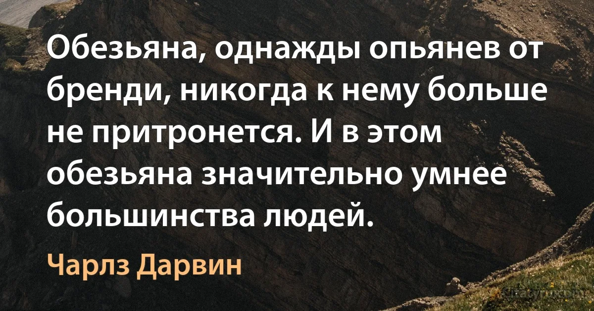 Обезьяна, однажды опьянев от бренди, никогда к нему больше не притронется. И в этом обезьяна значительно умнее большинства людей. (Чарлз Дарвин)