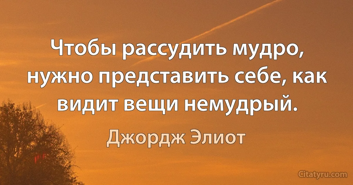 Чтобы рассудить мудро, нужно представить себе, как видит вещи немудрый. (Джордж Элиот)