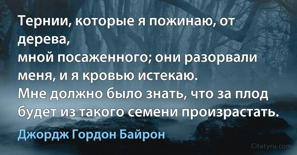 Тернии, которые я пожинаю, от дерева,
мной посаженного; они разорвали меня, и я кровью истекаю.
Мне должно было знать, что за плод будет из такого семени произрастать. (Джордж Гордон Байрон)