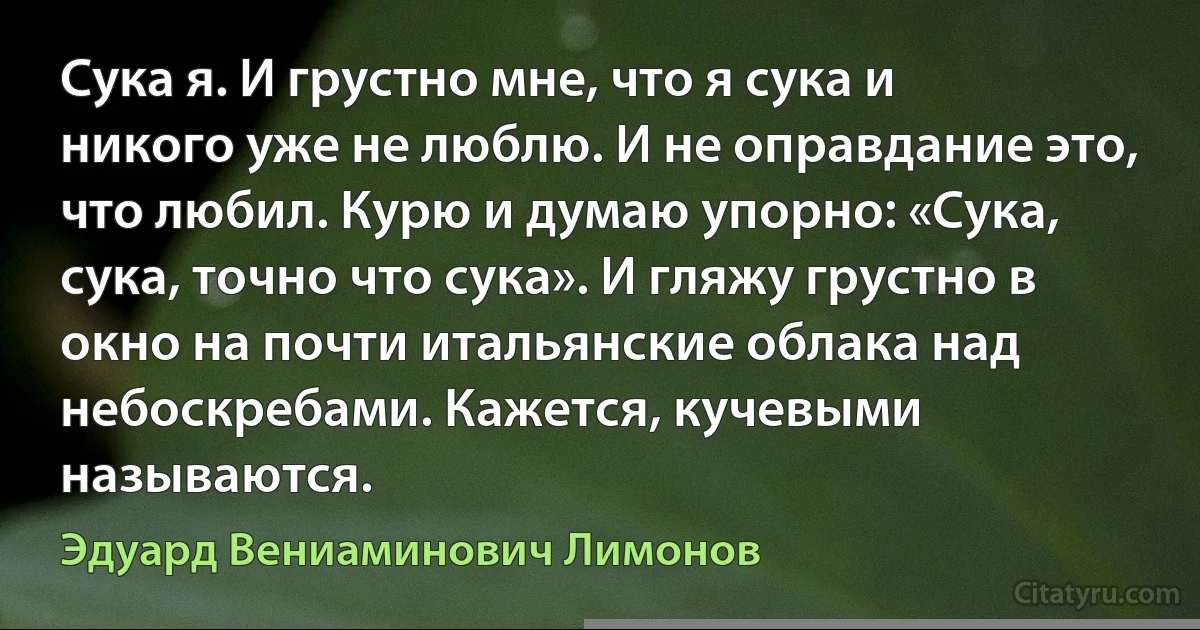 Сука я. И грустно мне, что я сука и никого уже не люблю. И не оправдание это, что любил. Курю и думаю упорно: «Сука, сука, точно что сука». И гляжу грустно в окно на почти итальянские облака над небоскребами. Кажется, кучевыми называются. (Эдуард Вениаминович Лимонов)