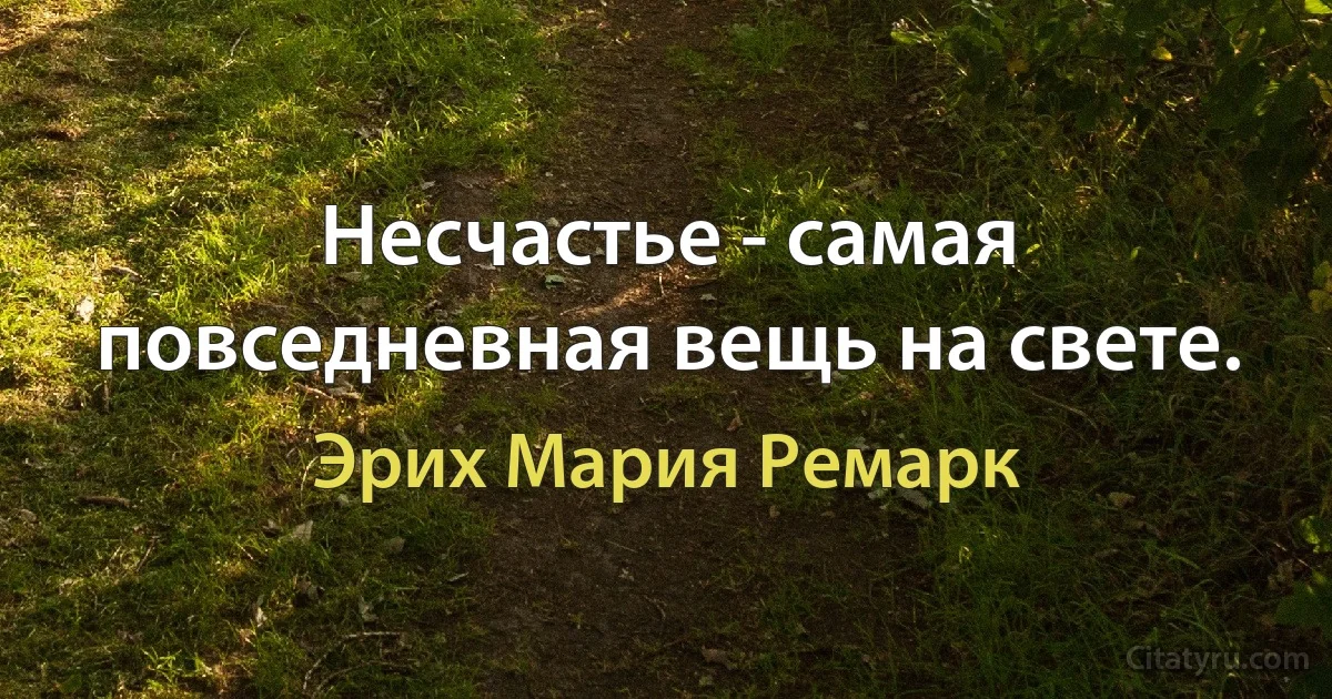 Несчастье - самая повседневная вещь на свете. (Эрих Мария Ремарк)