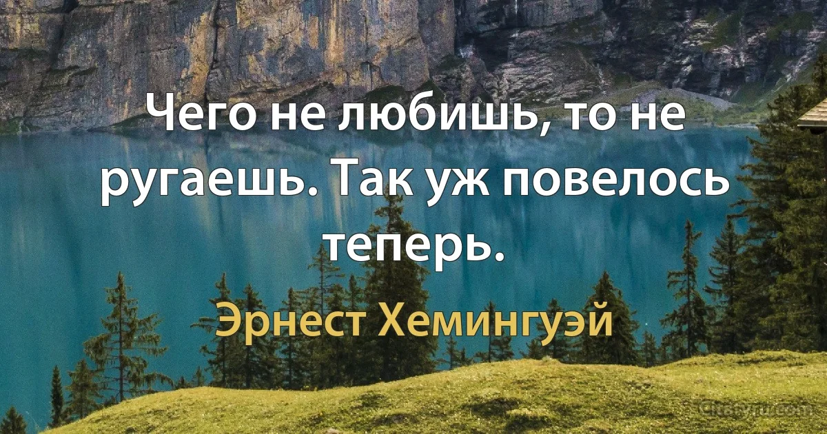 Чего не любишь, то не ругаешь. Так уж повелось теперь. (Эрнест Хемингуэй)