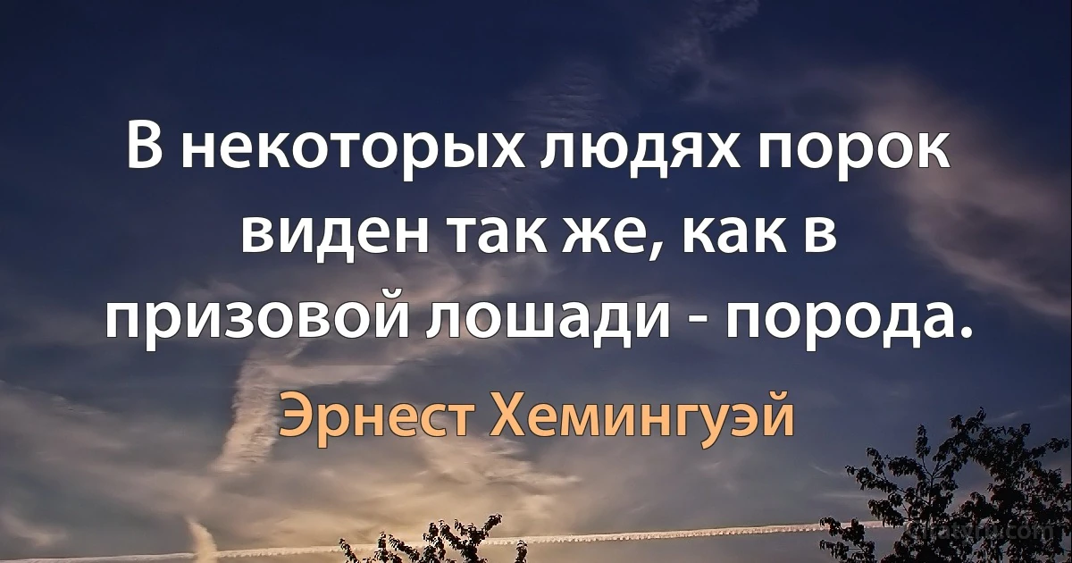 В некоторых людях порок виден так же, как в призовой лошади - порода. (Эрнест Хемингуэй)