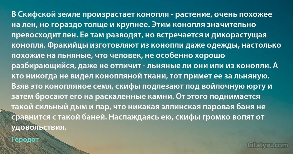 В Скифской земле произрастает конопля - растение, очень похожее на лен, но гораздо толще и крупнее. Этим конопля значительно превосходит лен. Ее там разводят, но встречается и дикорастущая конопля. Фракийцы изготовляют из конопли даже одежды, настолько похожие на льняные, что человек, не особенно хорошо разбирающийся, даже не отличит - льняные ли они или из конопли. А кто никогда не видел конопляной ткани, тот примет ее за льняную.
Взяв это конопляное семя, скифы подлезают под войлочную юрту и затем бросают его на раскаленные камни. От этого поднимается такой сильный дым и пар, что никакая эллинская паровая баня не сравнится с такой баней. Наслаждаясь ею, скифы громко вопят от удовольствия. (Геродот)