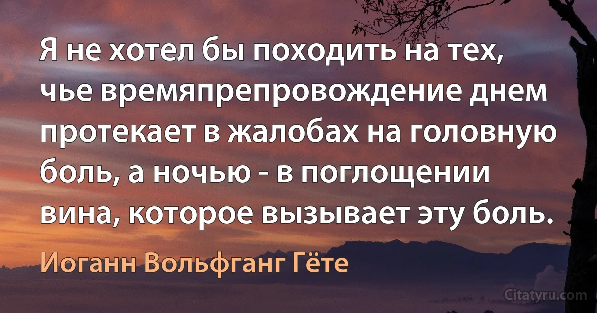 Я не хотел бы походить на тех, чье времяпрепровождение днем протекает в жалобах на головную боль, а ночью - в поглощении вина, которое вызывает эту боль. (Иоганн Вольфганг Гёте)