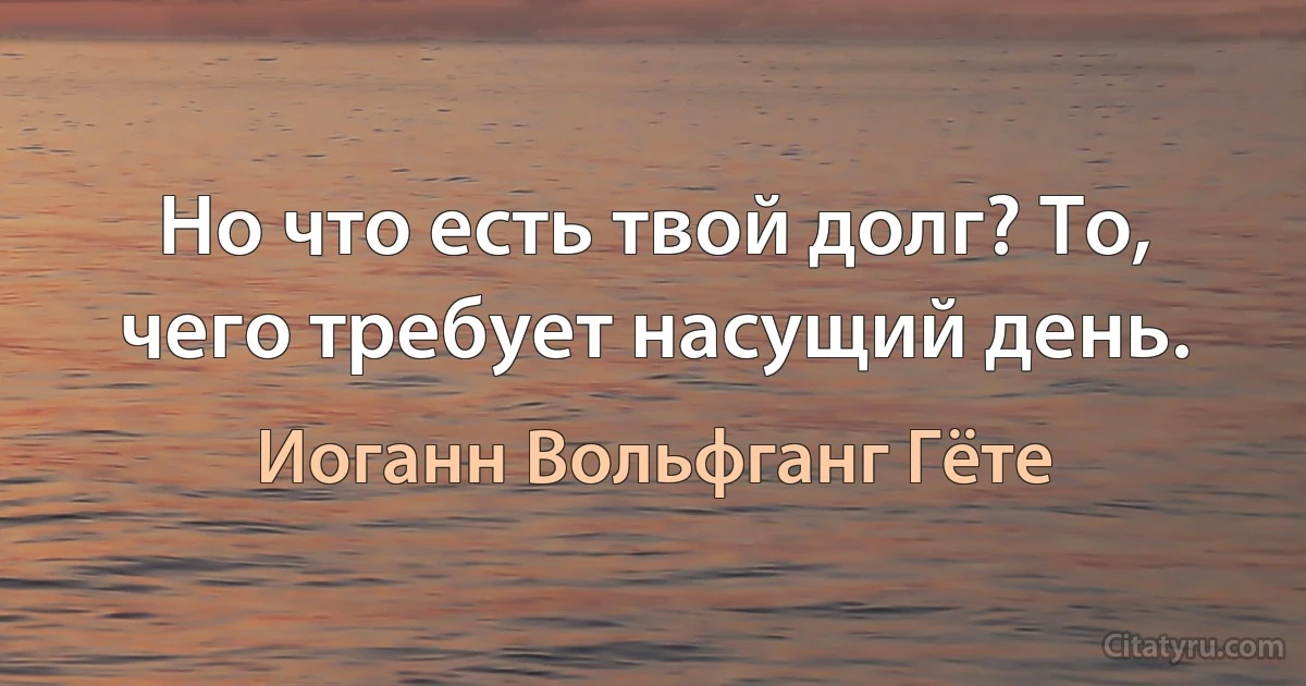 Но что есть твой долг? То, чего требует насущий день. (Иоганн Вольфганг Гёте)