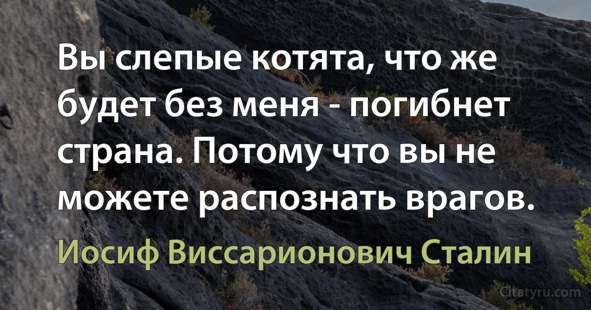 Вы слепые котята, что же будет без меня - погибнет страна. Потому что вы не можете распознать врагов. (Иосиф Виссарионович Сталин)