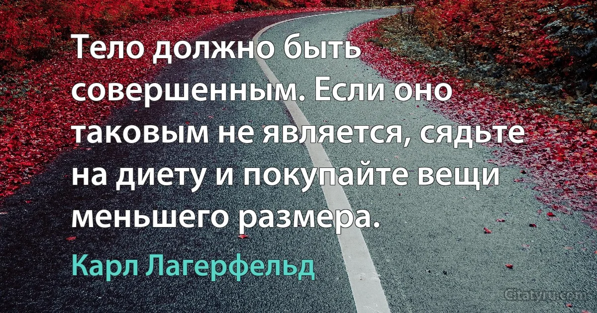 Тело должно быть совершенным. Если оно таковым не является, сядьте на диету и покупайте вещи меньшего размера. (Карл Лагерфельд)