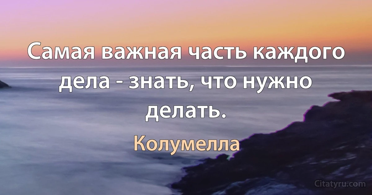 Самая важная часть каждого дела - знать, что нужно делать. (Колумелла)