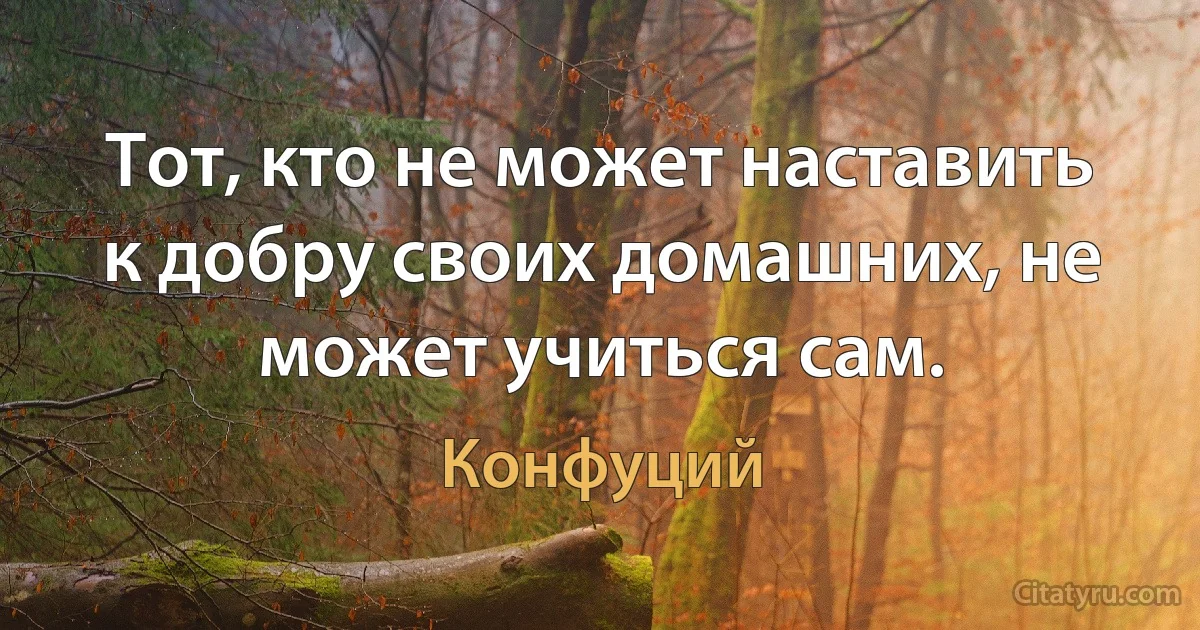 Тот, кто не может наставить к добру своих домашних, не может учиться сам. (Конфуций)