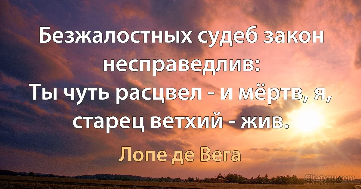 Безжалостных судеб закон несправедлив:
Ты чуть расцвел - и мёртв, я, старец ветхий - жив. (Лопе де Вега)