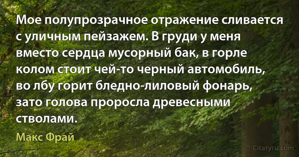 Мое полупрозрачное отражение сливается с уличным пейзажем. В груди у меня вместо сердца мусорный бак, в горле колом стоит чей-то черный автомобиль, во лбу горит бледно-лиловый фонарь, зато голова проросла древесными стволами. (Макс Фрай)