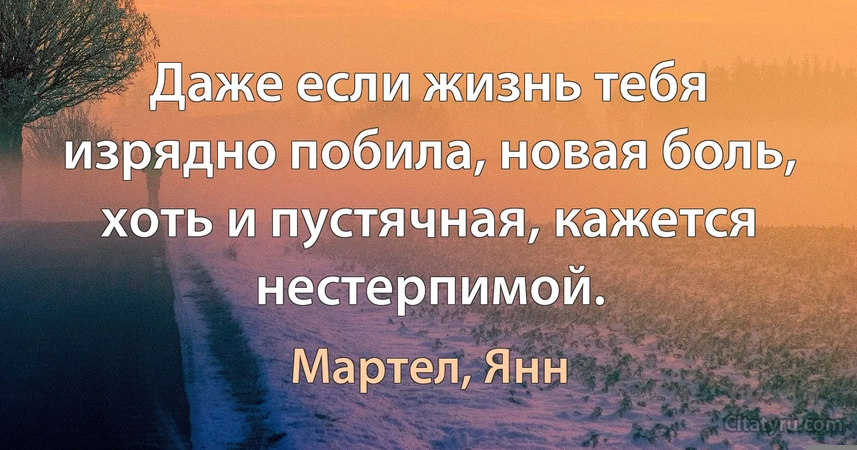 Даже если жизнь тебя изрядно побила, новая боль, хоть и пустячная, кажется нестерпимой. (Мартел, Янн)