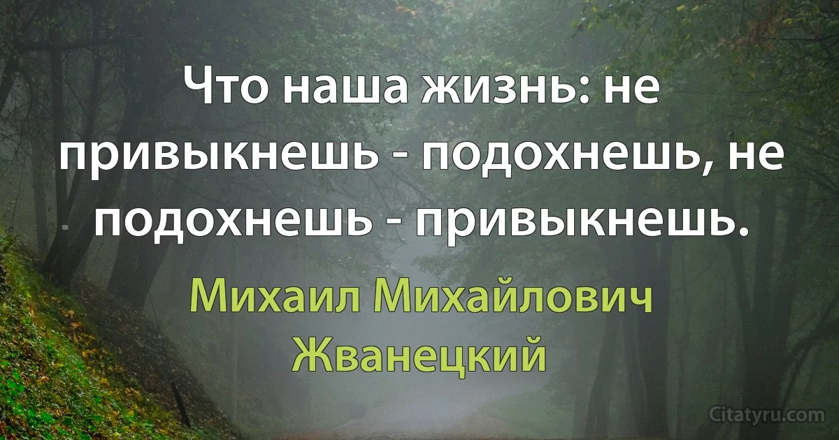 Что наша жизнь: не привыкнешь - подохнешь, не подохнешь - привыкнешь. (Михаил Михайлович Жванецкий)