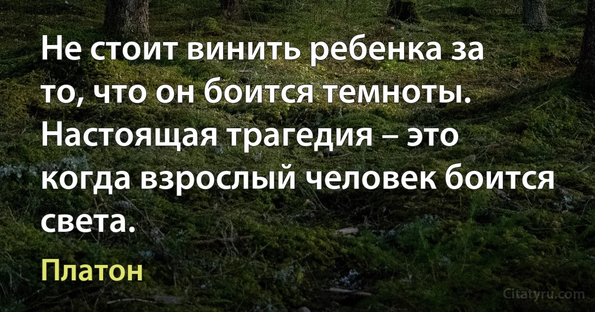 Не стоит винить ребенка за то, что он боится темноты. Настоящая трагедия – это когда взрослый человек боится света. (Платон)