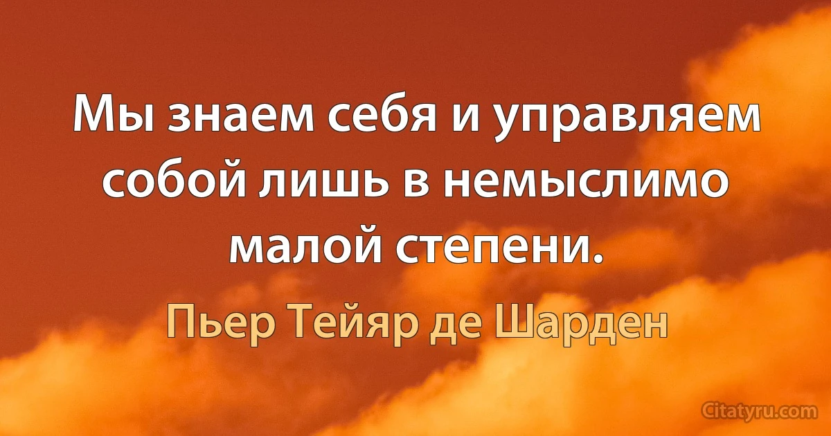 Мы знаем себя и управляем собой лишь в немыслимо малой степени. (Пьер Тейяр де Шарден)