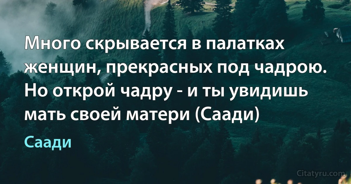 Много скрывается в палатках женщин, прекрасных под чадрою.
Но открой чадру - и ты увидишь мать своей матери (Саади) (Саади)