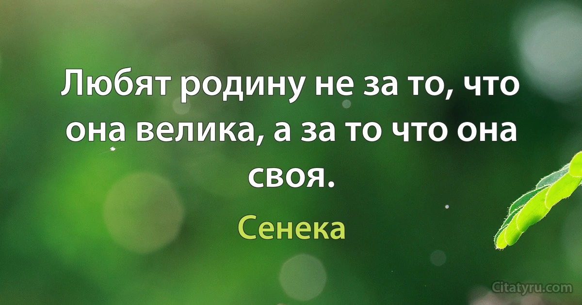 Любят родину не за то, что она велика, а за то что она своя. (Сенека)